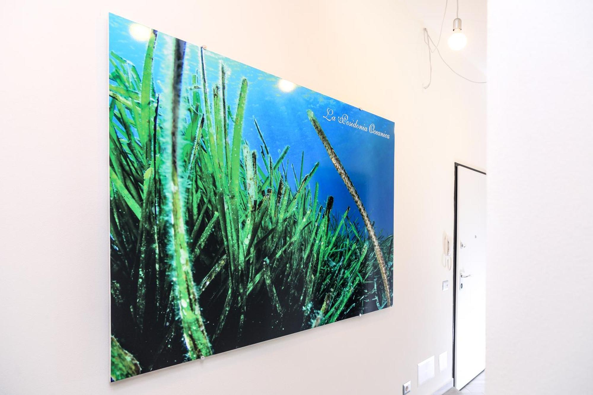 La Posidonia Oceanica Panzió Alghero Kültér fotó